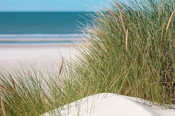 Eine Düne. Im Hintergrund erkennt man das Meer.