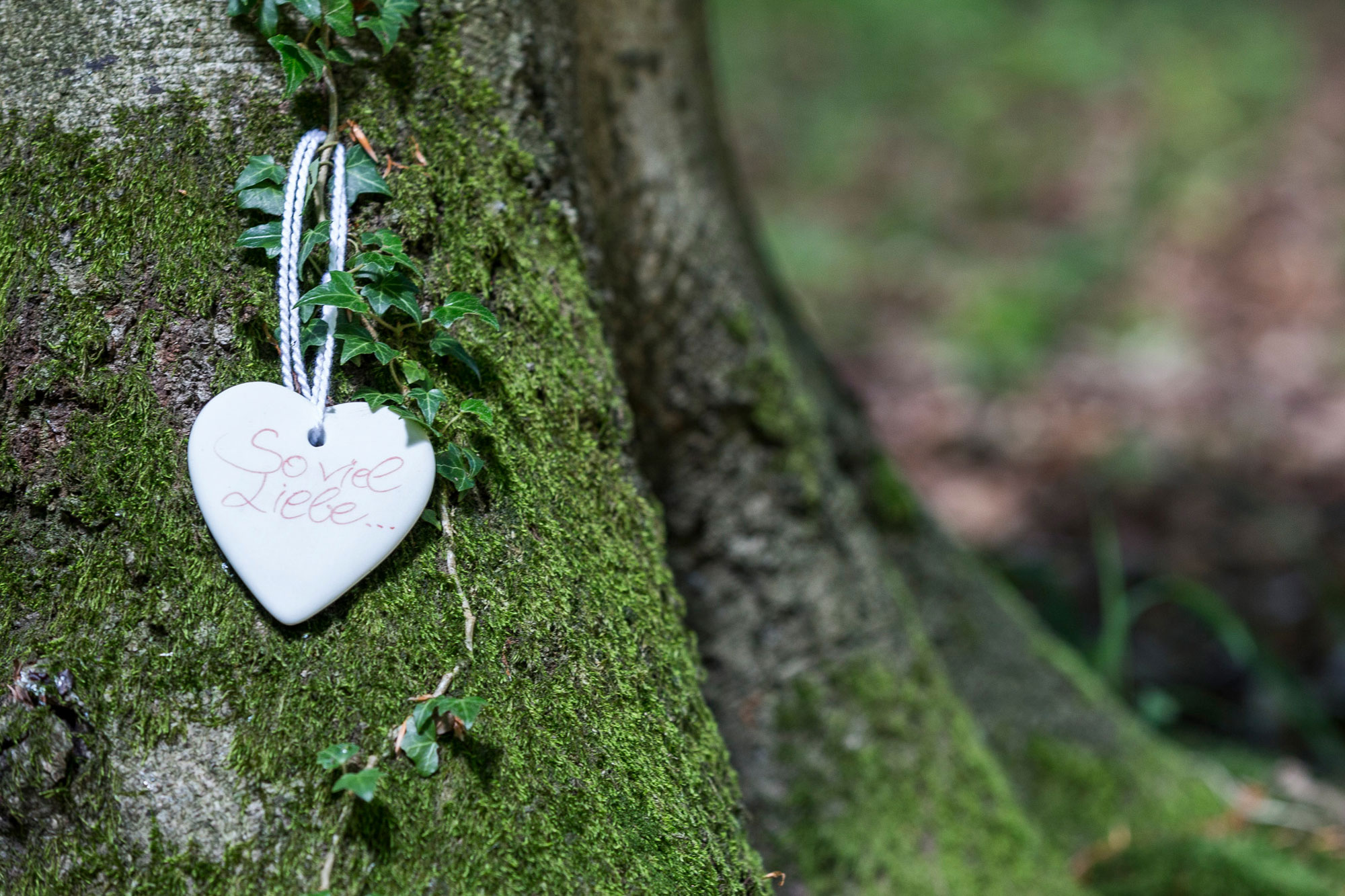 An einem Baumstamm ist eine herzförmige Plakette angebracht. Auf dieser steht: "So viel Liebe".